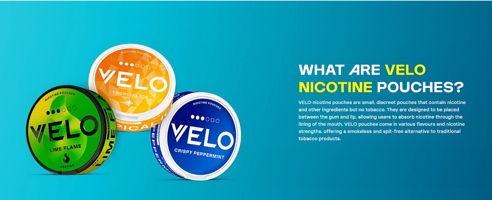 Load video: Try out new flavors with the BM600S and feel the excitement of discovering new flavors.