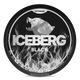 iceberg-logo
