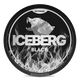 iceberg-logo