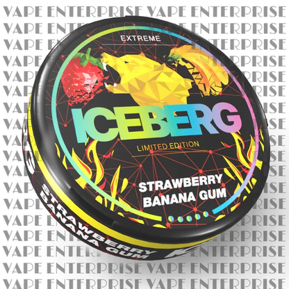 Ice Berg Snus pouch 